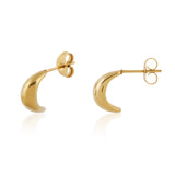 Curved Earrings Small