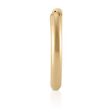 Medium Gold Hoops